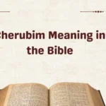Cherubim Meaning in the Bible