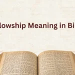 Fellowship Meaning in Bible