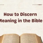 How to Discern Meaning in the Bible