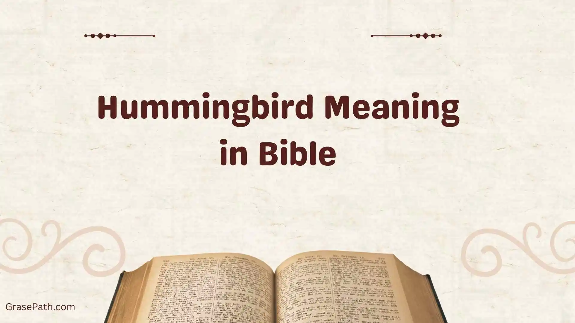 Hummingbird Meaning in Bible