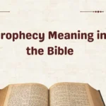 Prophecy Meaning in the Bible