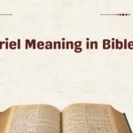 Ariel Meaning in Bible