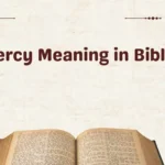 Mercy Meaning in Bible